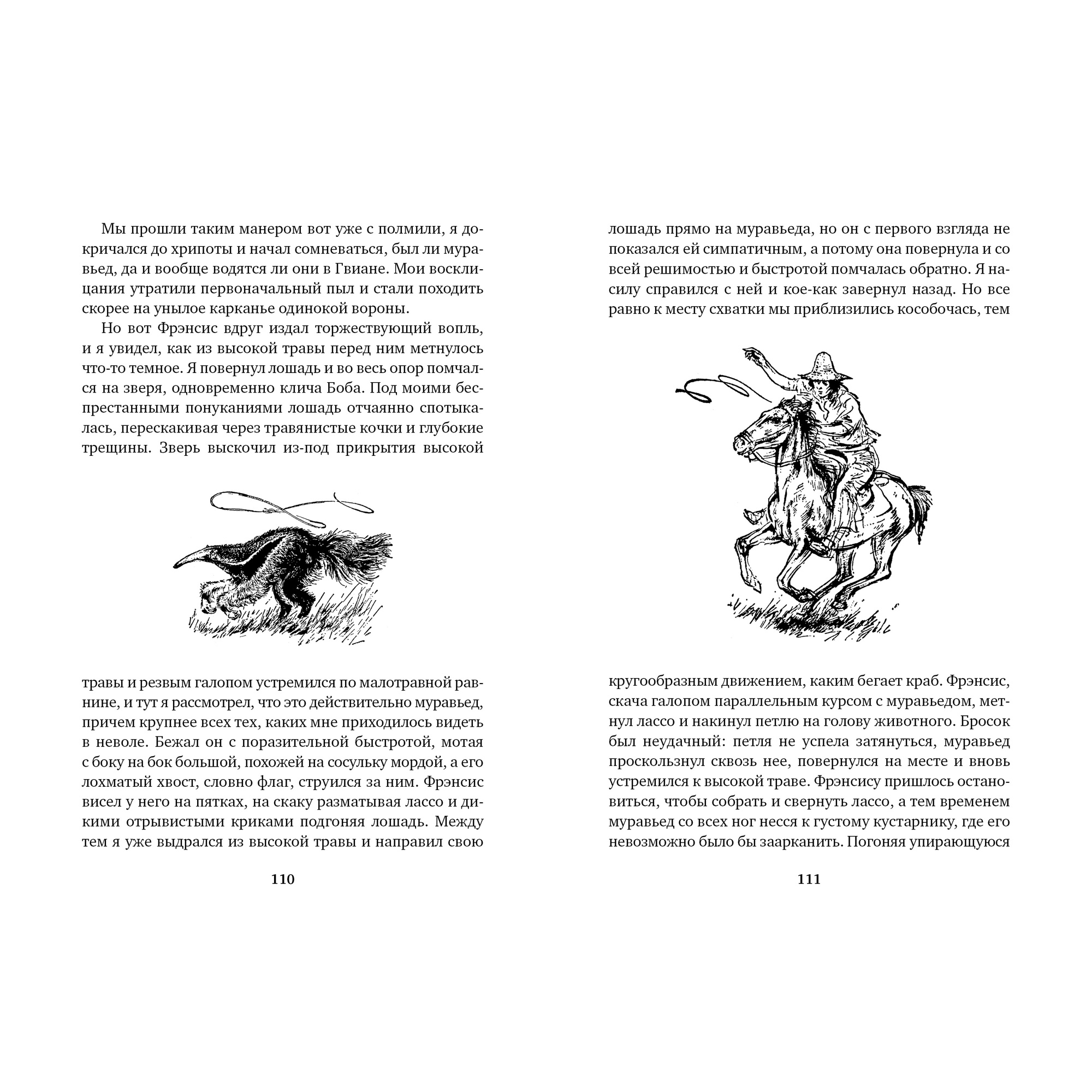 Книга АЗБУКА Три билета до Эдвенчер. Под пологом пьяного леса - фото 6