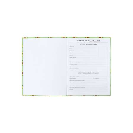 Дневник Calligrata обл 1-11кл, глянц/лам, 40л, Calligrata \"Авокадо мини ПАТТЕРН\"