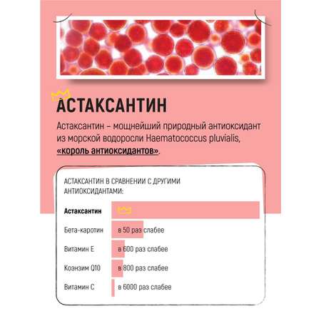 Масло дикого лосося Вивидус (VIVIDUS) с астаксантином 0,5 л.