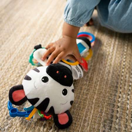 Игрушка Baby Einstein подвеска