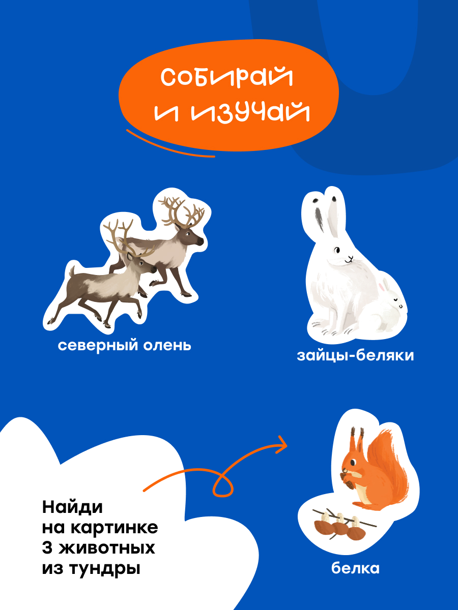 Пазл Харди Гарди Природные зоны России - фото 6