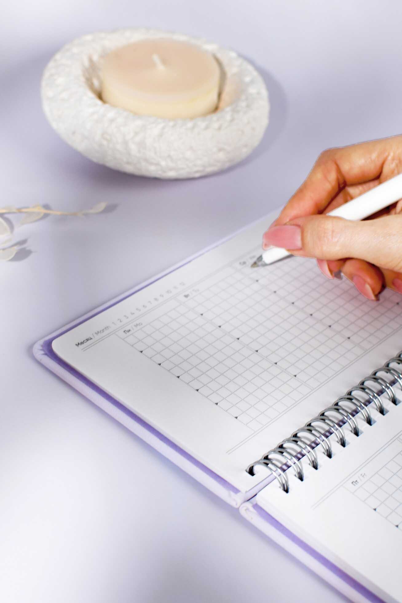 Ежедневник Феникс + ESCALADA 68 лист. - фото 12