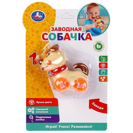Собака УМка
