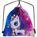 Мешок для обуви SkyName