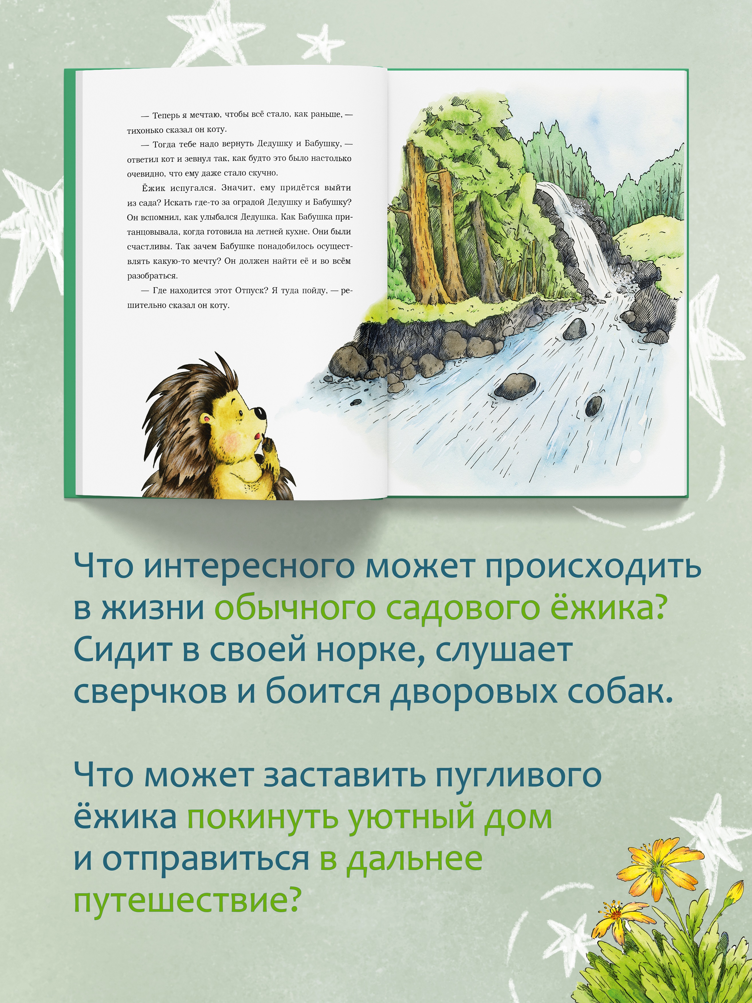 Книга для детей Амоза.Дети Садовый ёжик Шур - фото 3