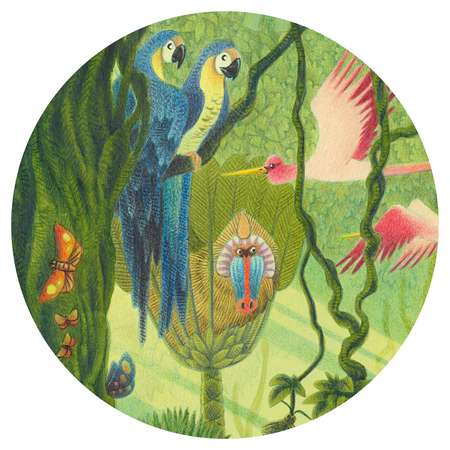 Пазл Djeco классический