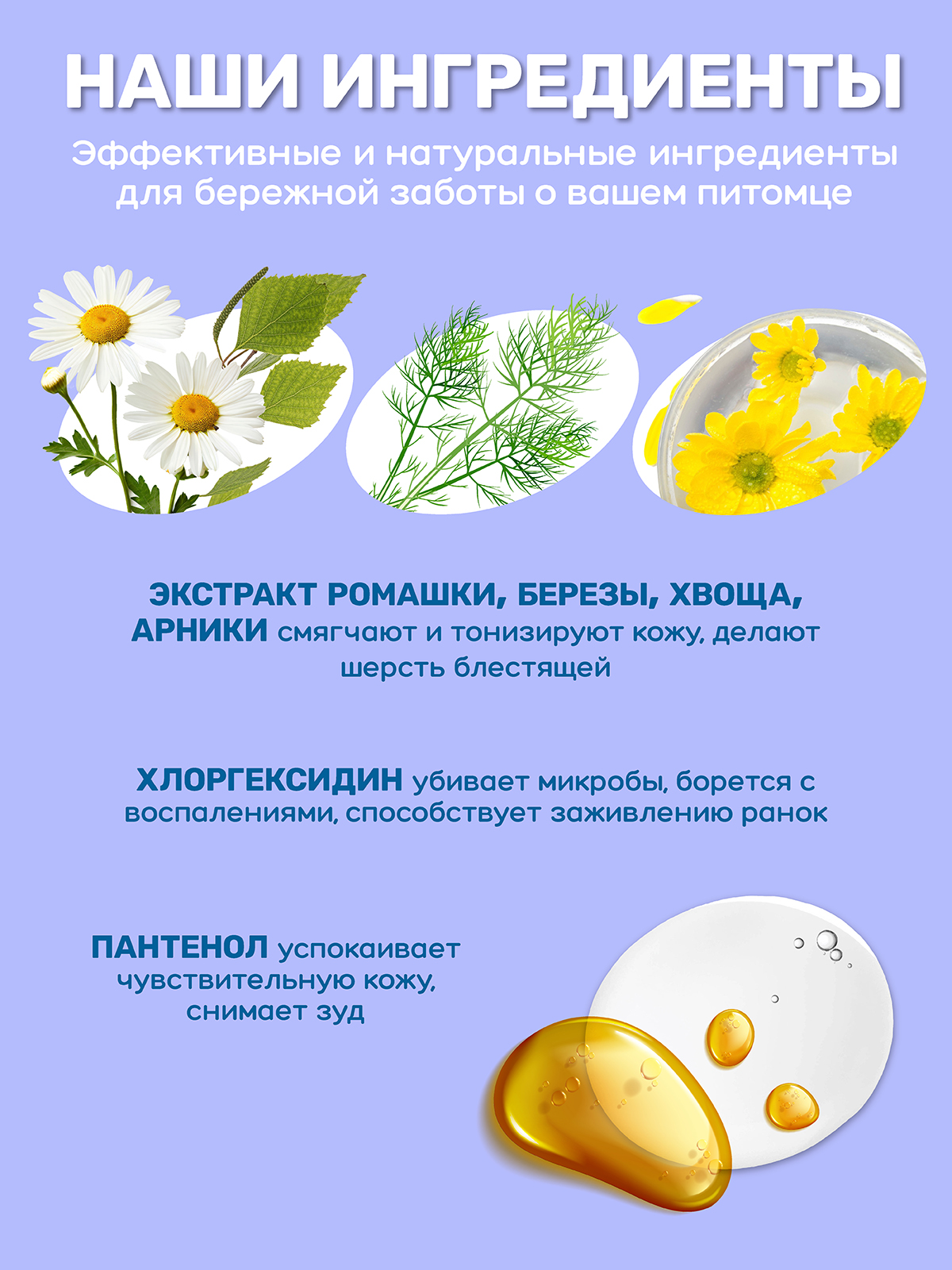 Шампунь для собак и кошек ZOORIK антибактериальный 500 мл - фото 6