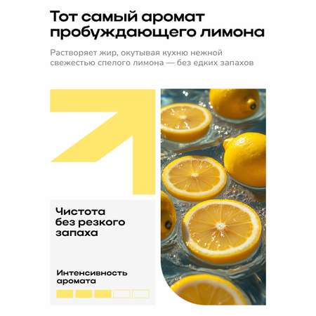Средство Zetter для удаления Жира «Антижир» 500 мл