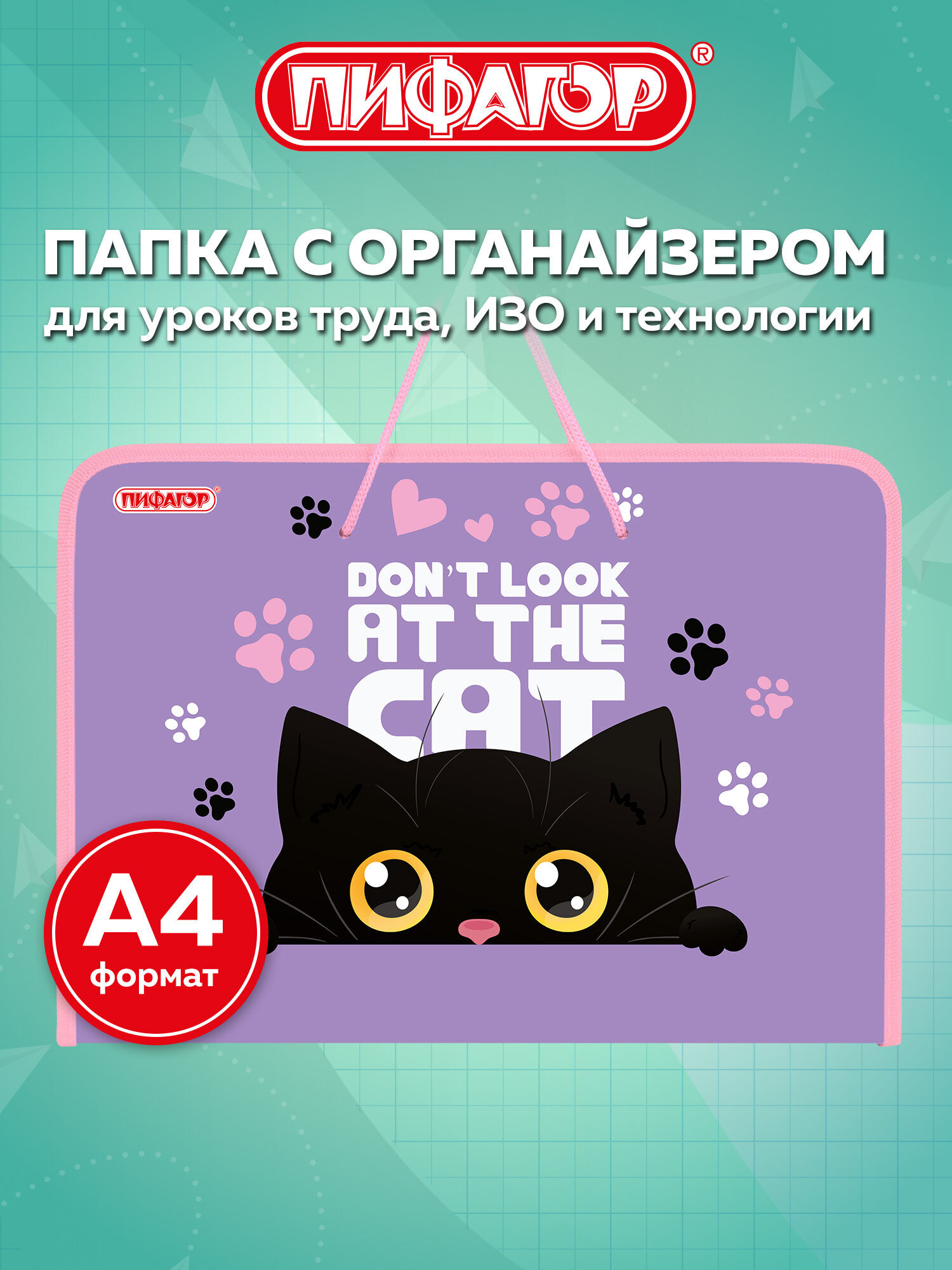 Папка для тетрадей Пифагор наблюдательный кот А4 - фото 1