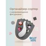 Органайзер ROXY-KIDS