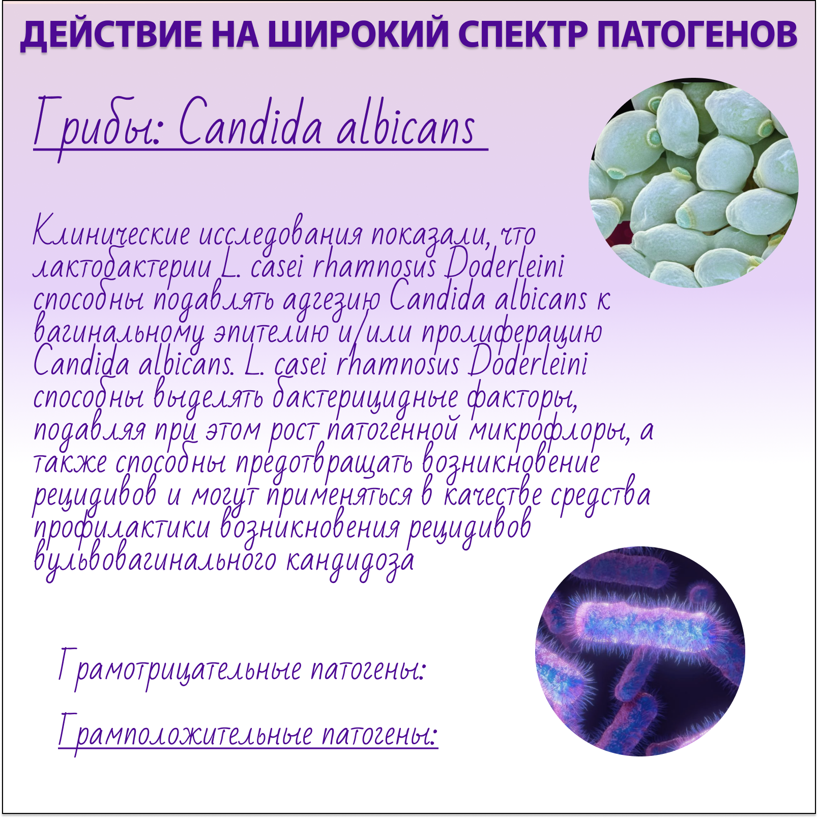 ФлораФем Multi-Gyn от молочницы кандидоза 25 мл - фото 7