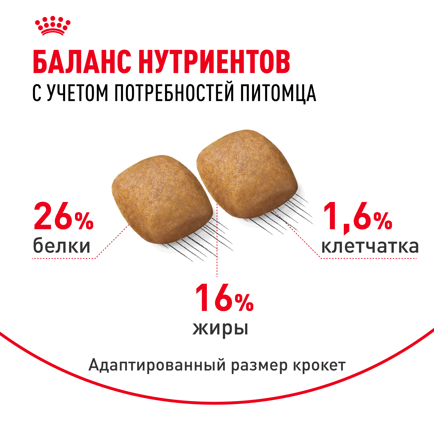Корм для собак ROYAL CANIN породы померанский шпиц 0.5кг - фото 4