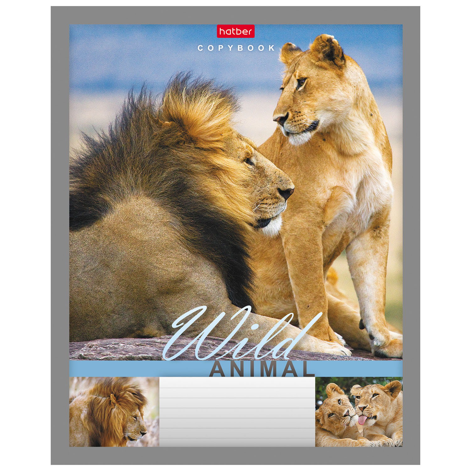 Тетрадь Hatber линейка 24 лист. - фото 3