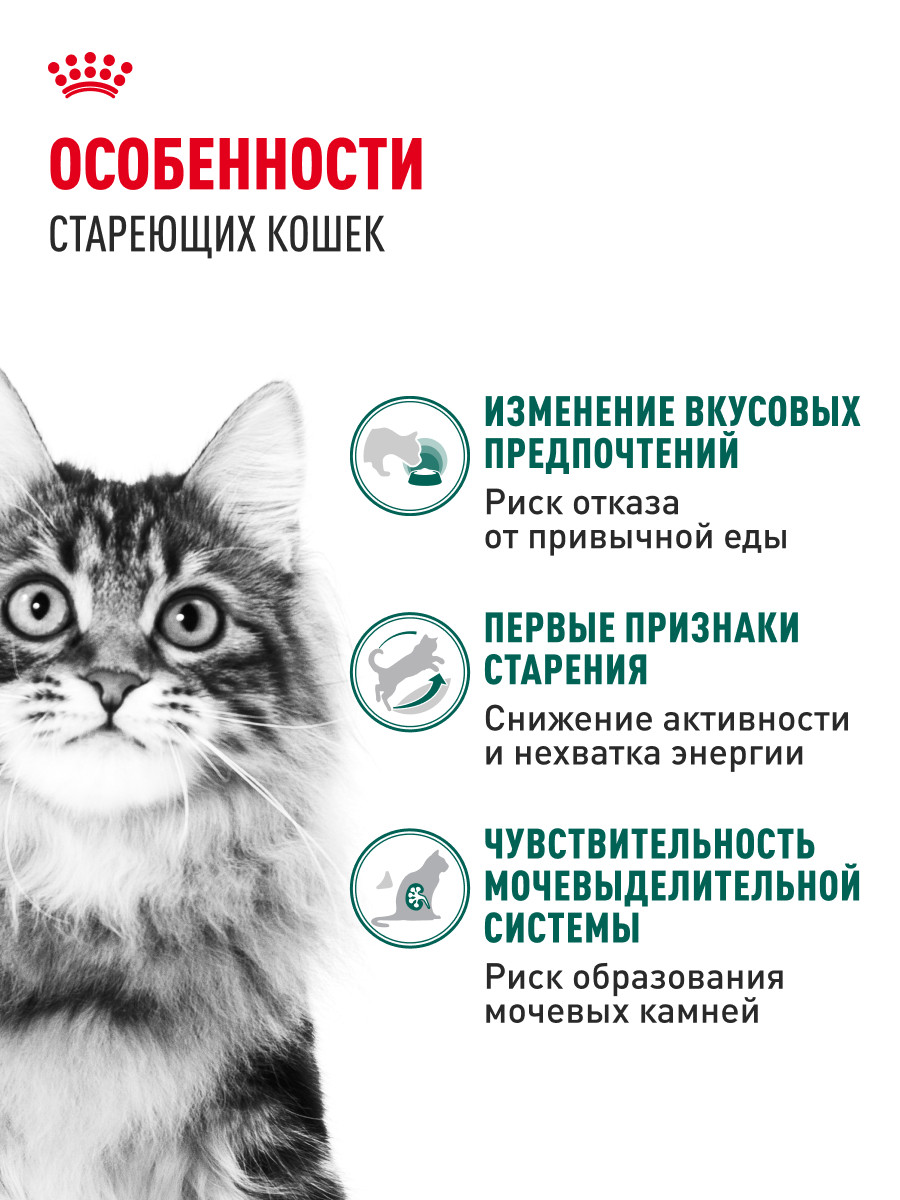 Корм для кошек ROYAL CANIN Instinctive 85г для пожилых 7+ соус пауч - фото 2