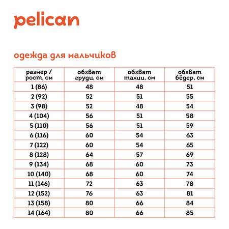 Худи Pelican