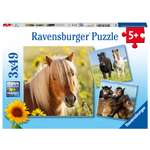 Пазл Ravensburger классический