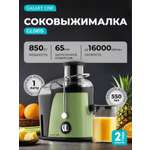 Соковыжималка Galaxy LINE GL0815 сочный лайм