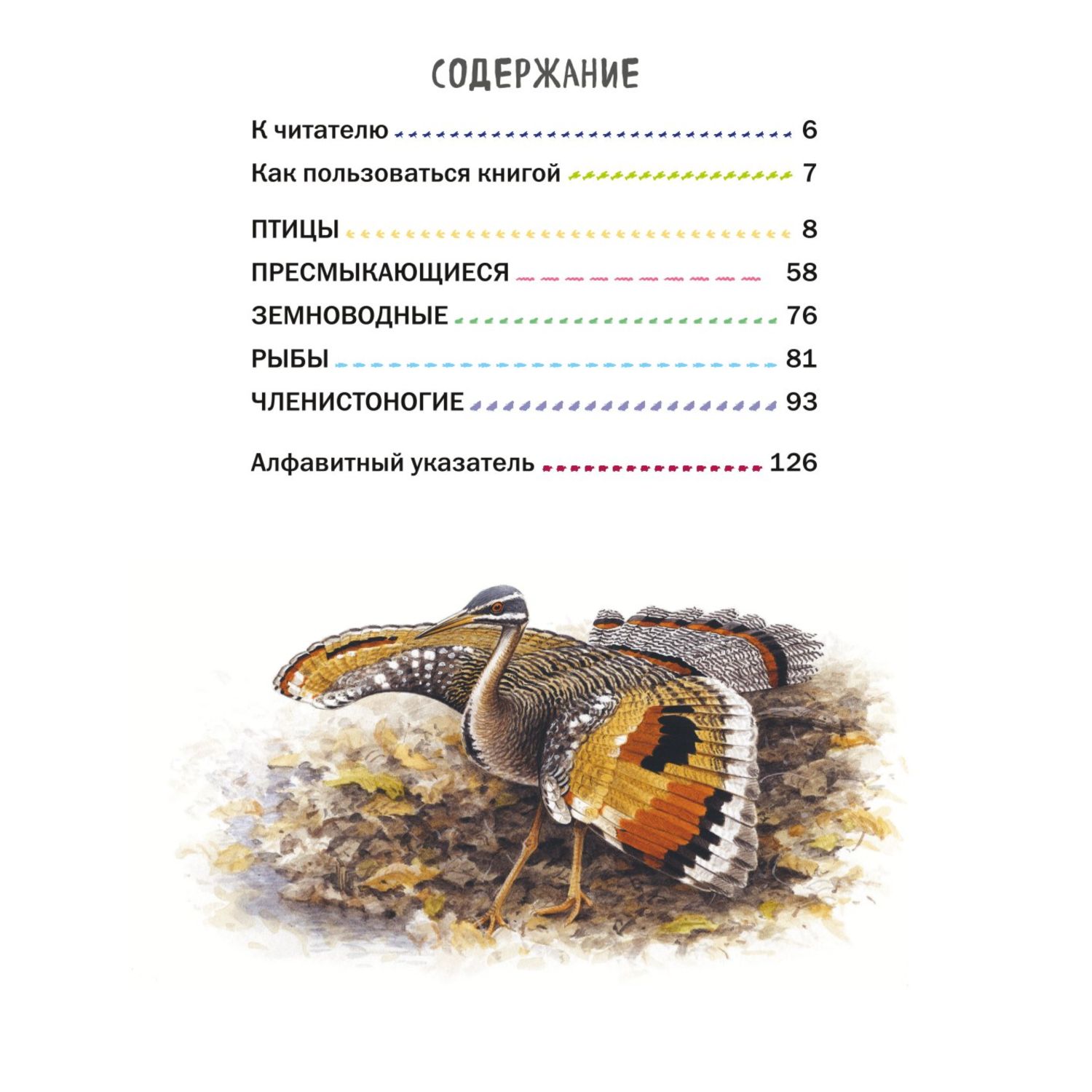 Книга Эксмо Все насекомые птицы рыбы с крупными буквами - фото 2