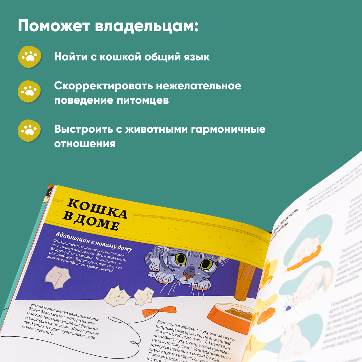 Книга Альпина. Дети Секреты кошек - фото 3