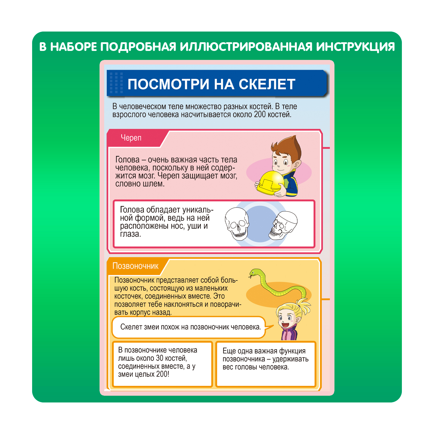 Наглядное пособие Bondibon Науки с Буки - фото 6