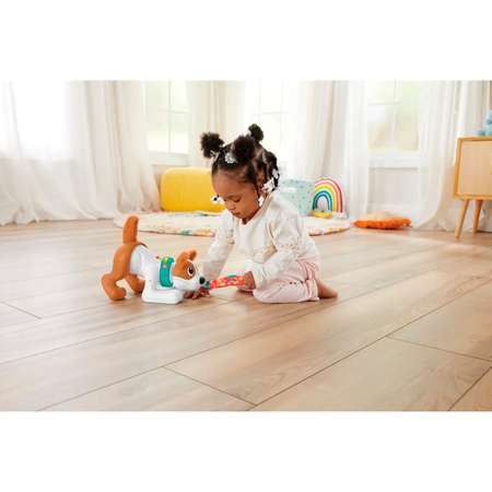 Игрушка Fisher Price