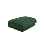 Простыня DeNASTIA махровая зеленый D000150 200 x 220 см 1 шт.