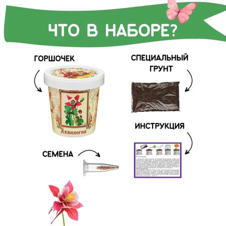 Набор для выращивания Rostok Visa