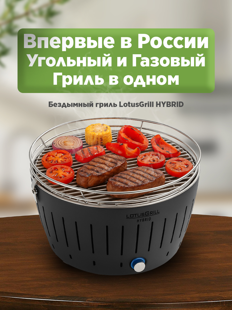 Гриль LotusGrill Classic Hybrid 34 см серый антрацит - фото 1