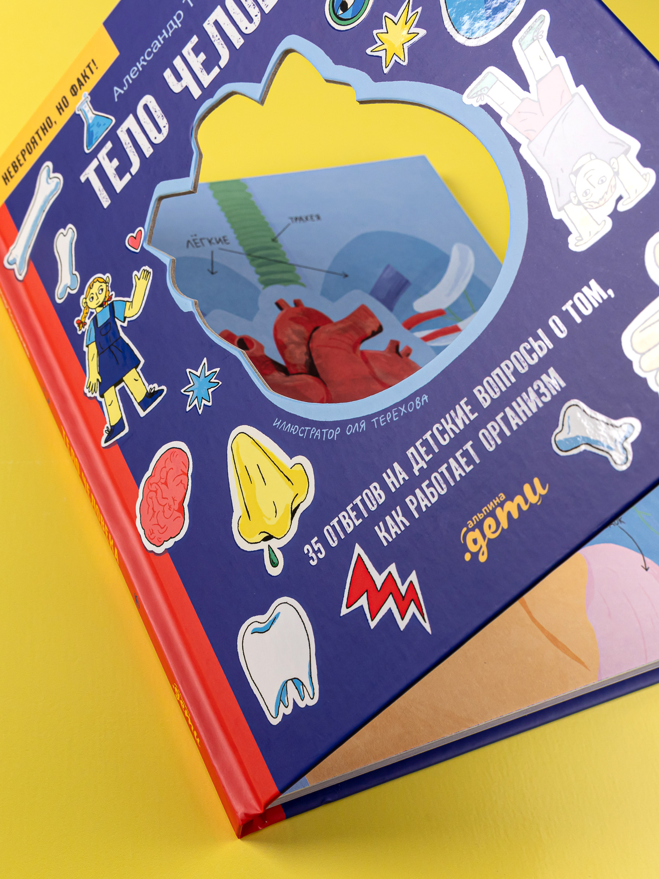 Книга Альпина. Дети Тело человека 35 ответов на детские вопросы - фото 8