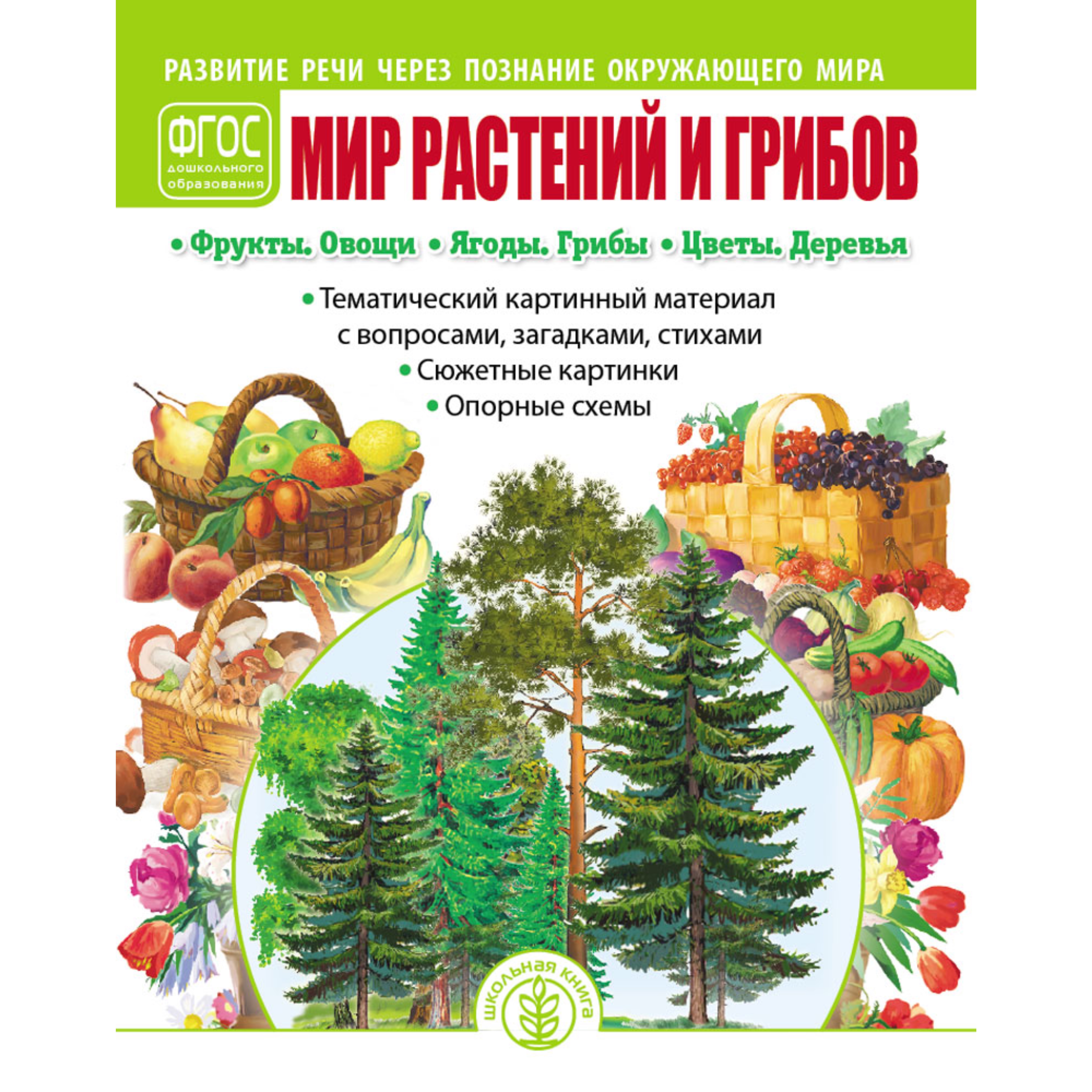 Книга Школьная Книга Мир растений и грибов Развитие речи через познание окружающего мира - фото 1