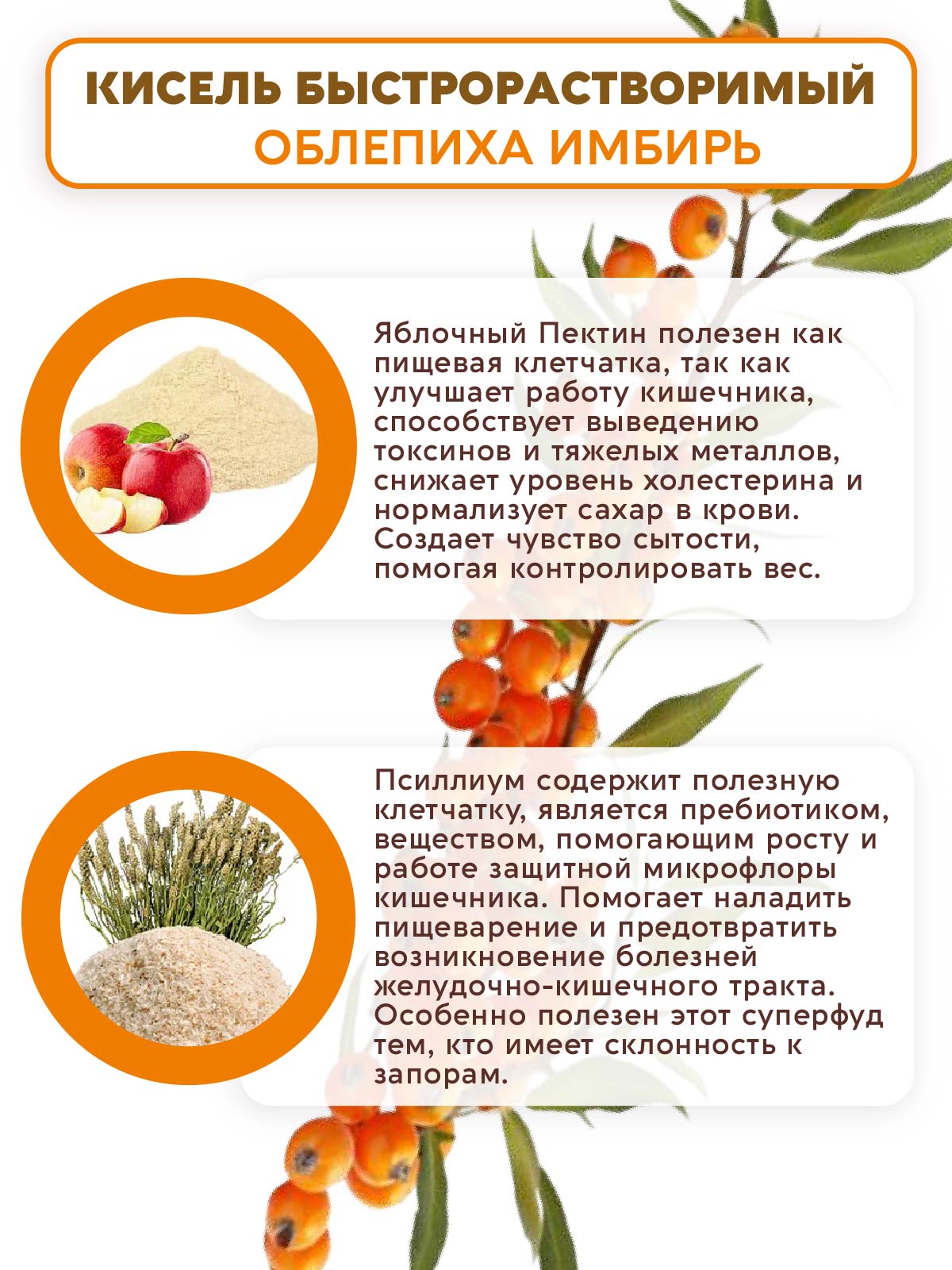 Псиллиум Кисель Вастэко без сахара Облепиха-Имбирь 300г - фото 3