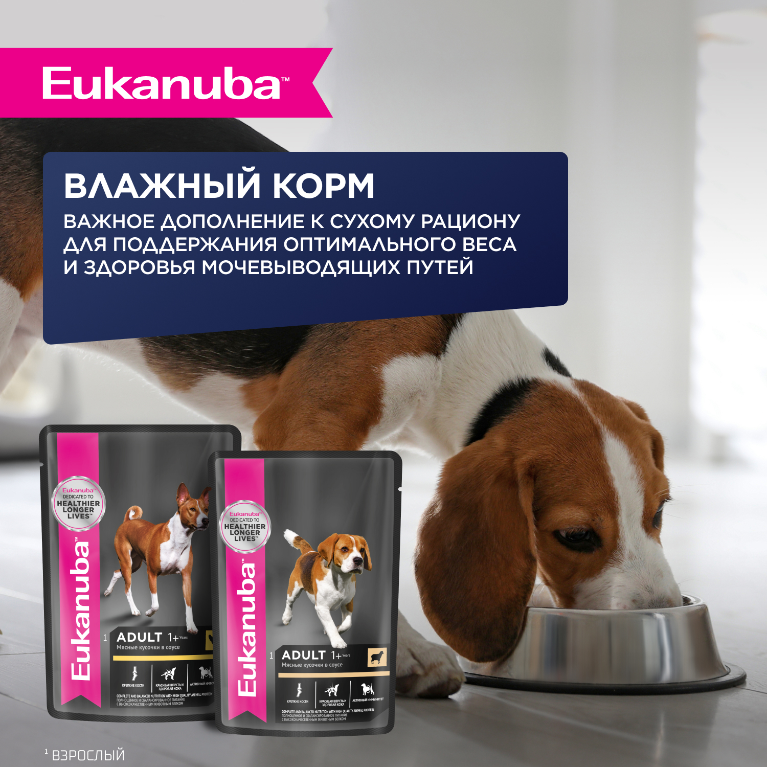 Корм для собак сухой для взрослых собак Eukanuba мелких и средних пород старше 1 года с ягненком 7кг - фото 7