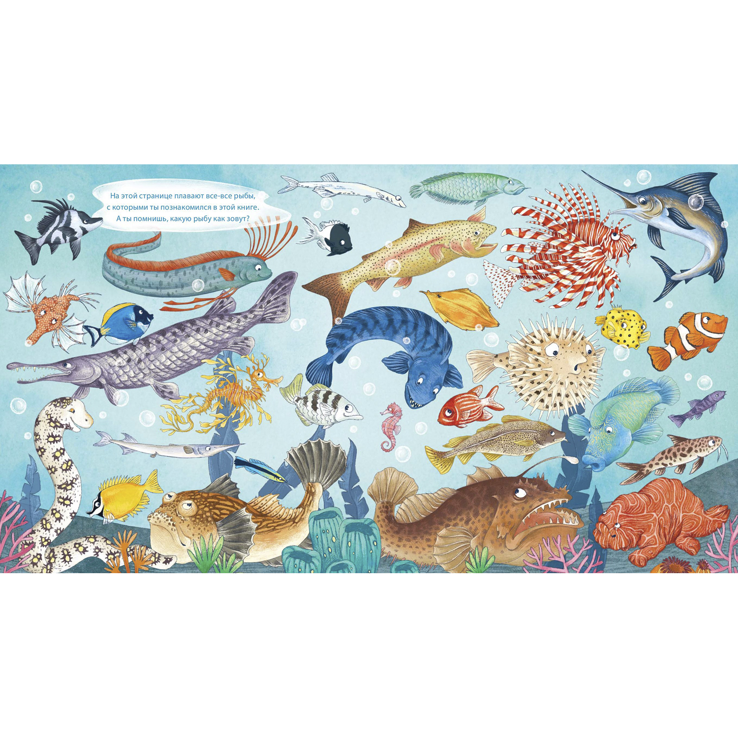 Книга ЭНАС-книга Морской звездочёт и другие удивительные рыбы - фото 5