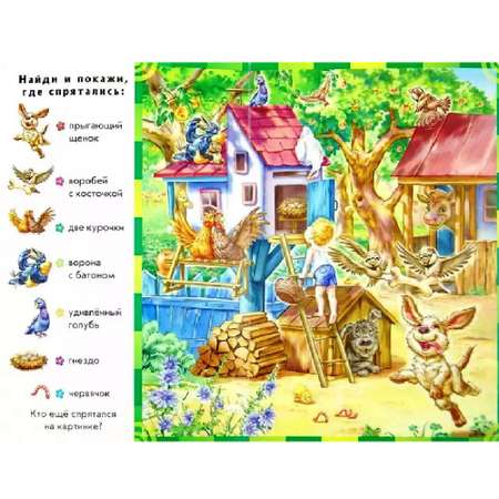 Книга РАНОК В деревне