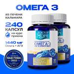 Омега-3 из печени кальмара + АГЭ Доктор Море Для кожи. волос и ногтей, сердца и сосудов, иммунной и нервной системы
