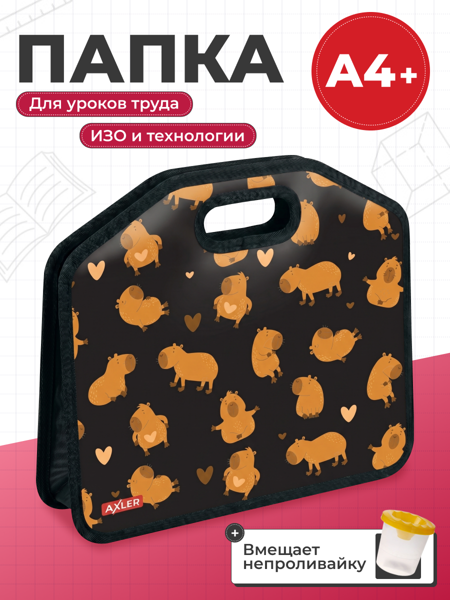 Папка с ручками AXLER для мальчиков и девочек А4 - фото 1
