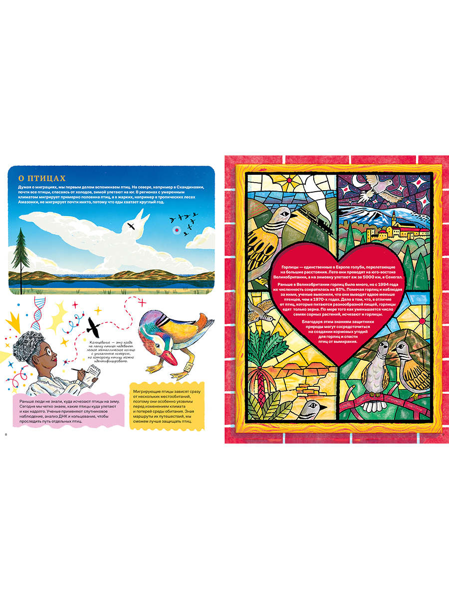 Книга Альпина. Дети Невероятные странствия животных - фото 2