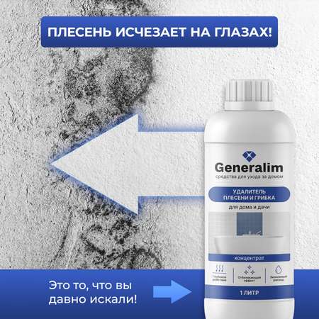 Средство от плесени Generalim для дома и дачи 1 л