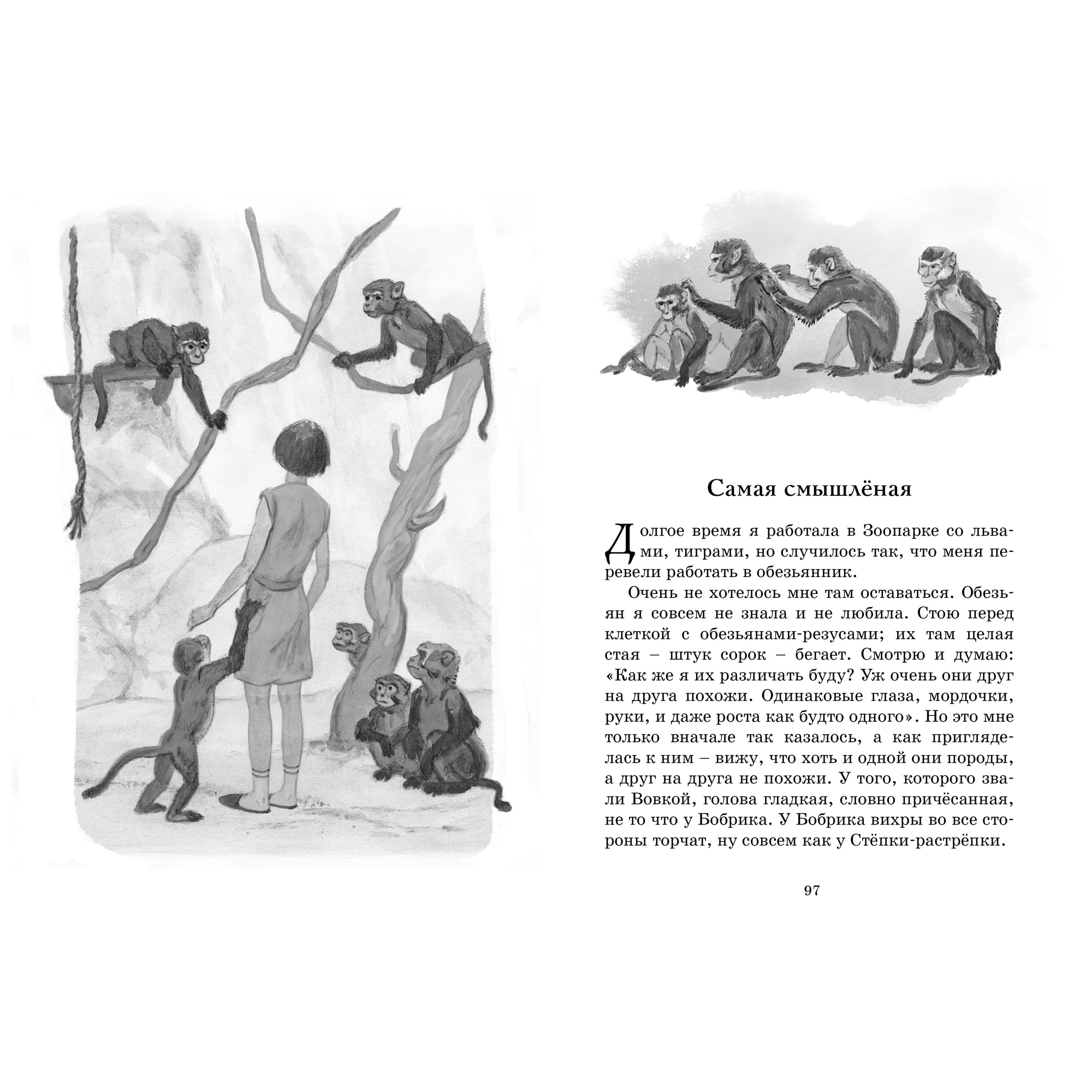 Книга МАХАОН Фомка - белый медвежонок Чаплина В. - фото 6