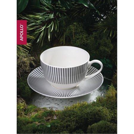 Чайная пара APOLLO 220 мл, серый