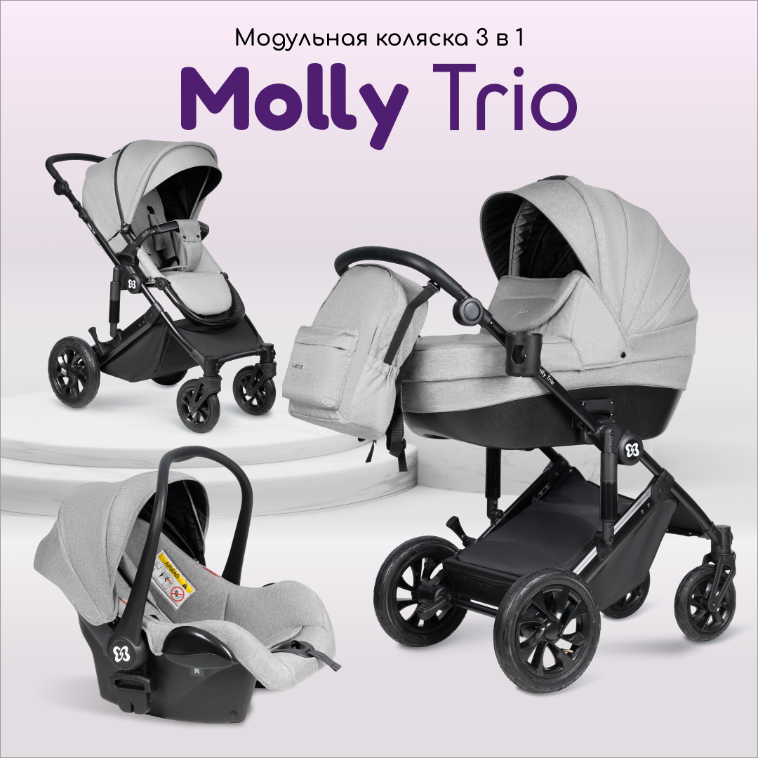 Коляска 3в1 Farfello Molly Trio - фото 1