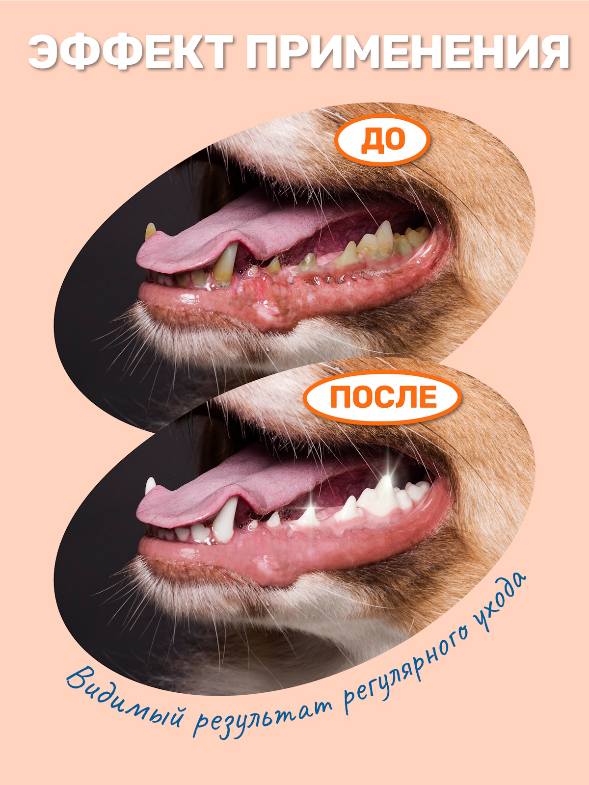 Влажные салфетки-напальчники ZOORIK для чистки зубов собак и кошек 50 шт - фото 2