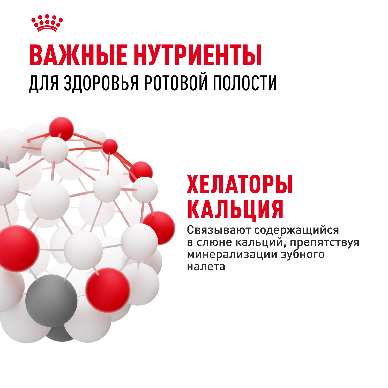 Корм для кошек ROYAL CANIN Dental Care для профилактики образования зубного налета и зубного камня 1.5кг - фото 5