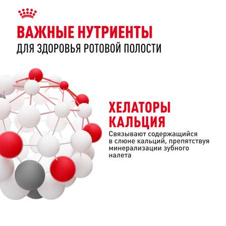 Корм для кошек ROYAL CANIN Dental Care для профилактики образования зубного налета и зубного камня 1.5кг