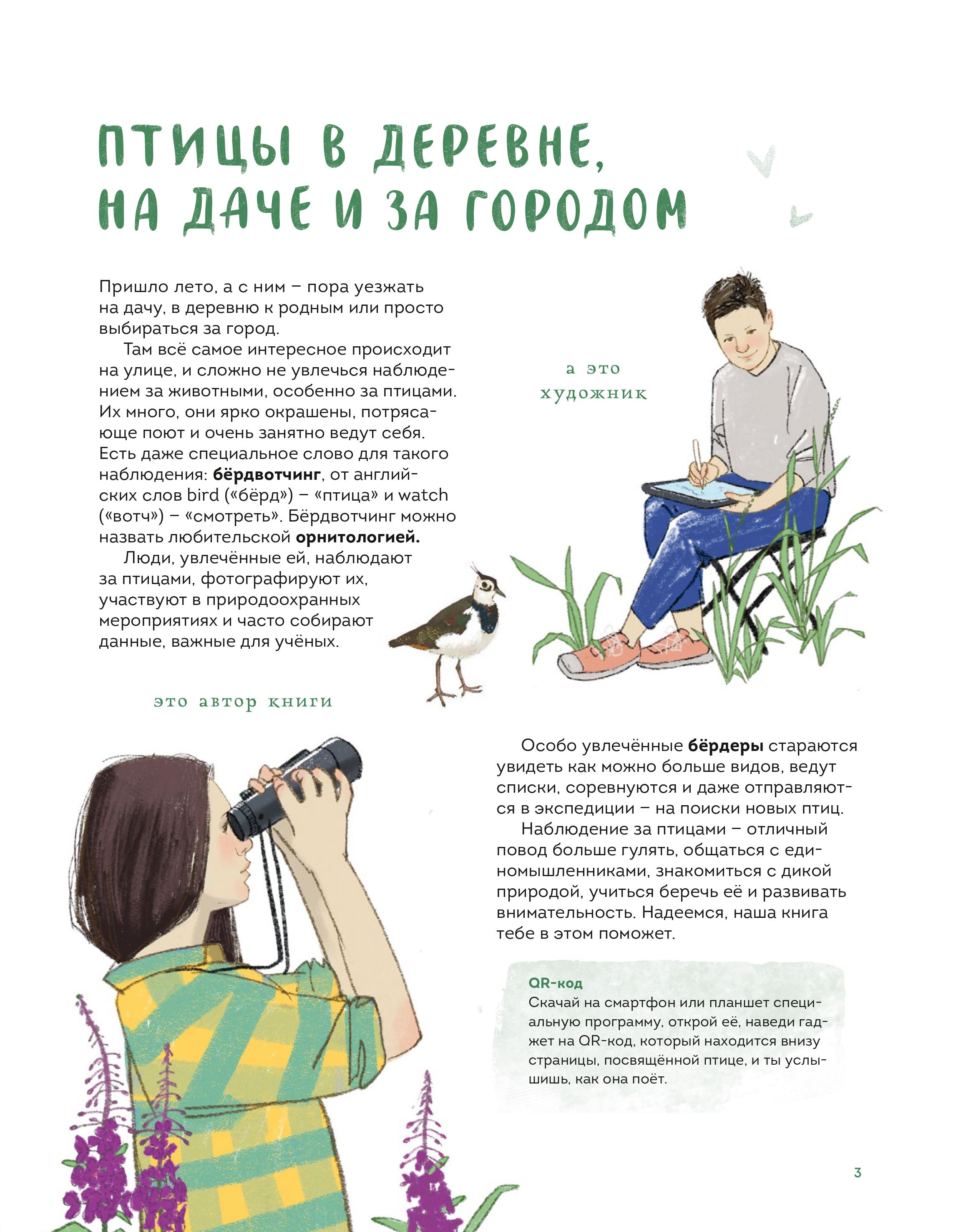 Книга Эксмо Птицы в деревне. Где найти и как узнать - фото 4