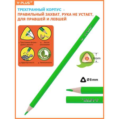 Карандаши цветные Y-plus 12 шт.