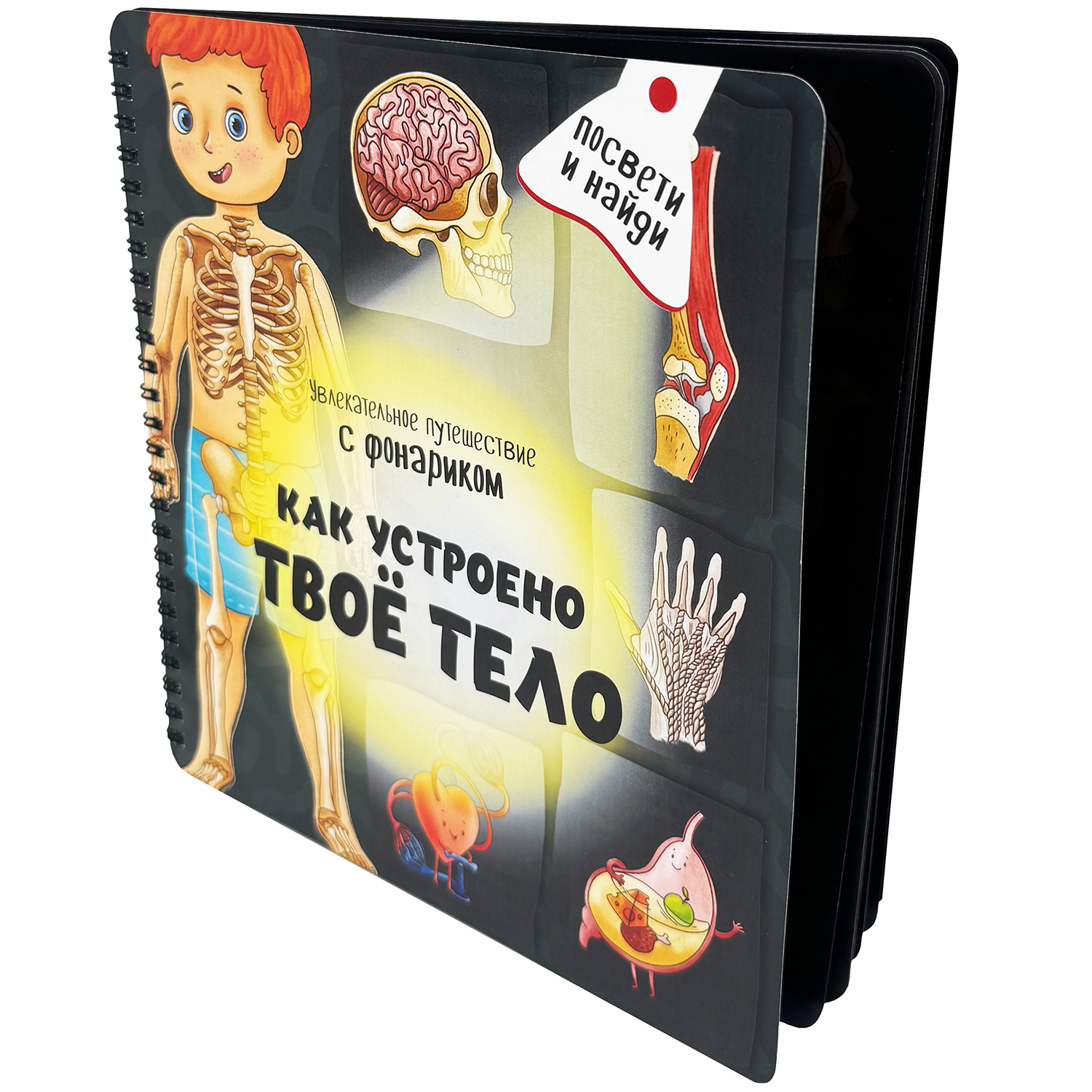 Детская книга БимБиМон с фонариком Как устроено твое тело - фото 6
