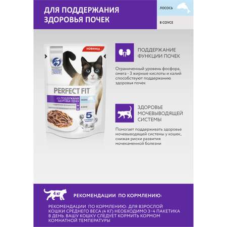 Корм для кошек PerfectFit 75г для поддержания здоровья почек с лососем в соусе