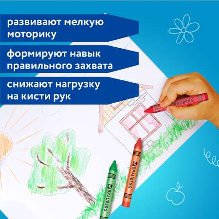 Карандаши цветные Brauberg 12 шт.