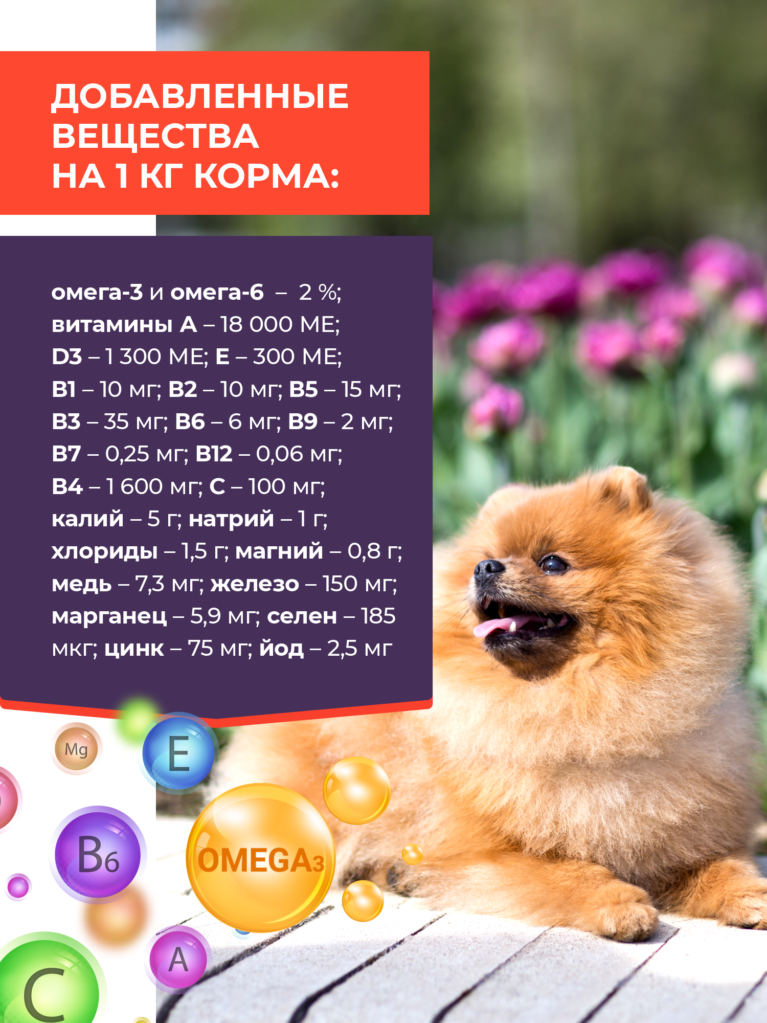 Сухой корм для собак GRANDHOLI Для породы шпиц Говядина с ягодами 1,5 кг - фото 5